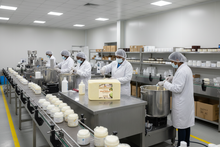 Load image into Gallery viewer, MGL Naturals Unrefined African Shea Butter 50 lb Ivory | White